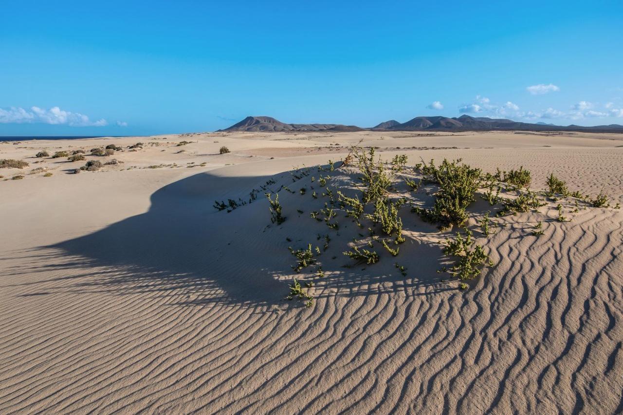 Gmar House Relax Y Naturaleza Parque Holandes Екстер'єр фото